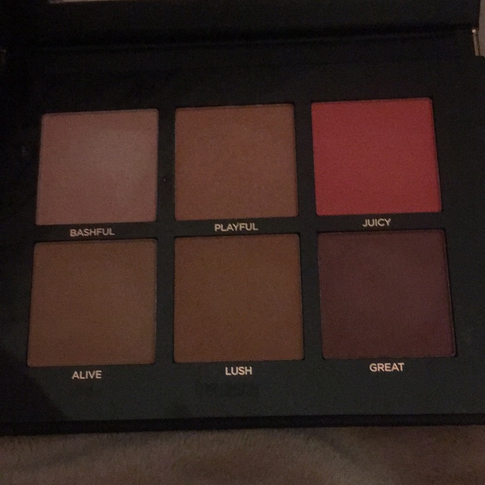 Pro fusion blush palette